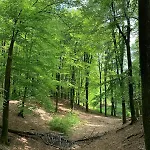 Veluwe * Putten