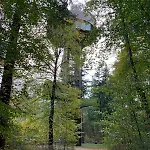 Villa Veluwe