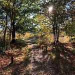 Villa Veluwe Putten