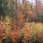 Villa Veluwe Putten