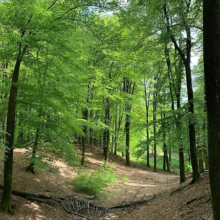 Veluwe * Putten
