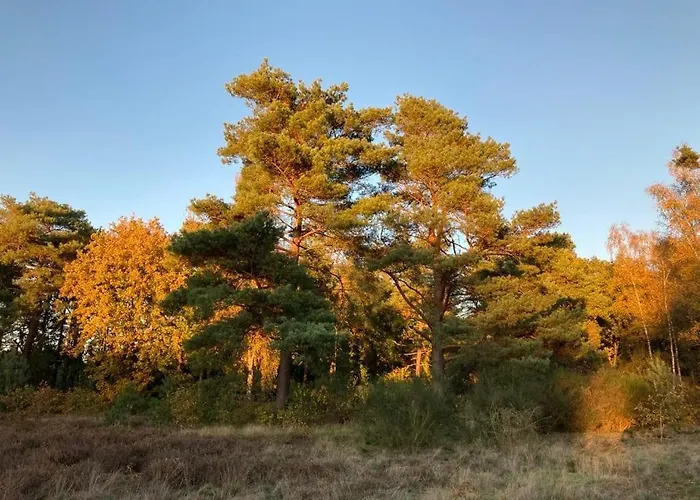 Veluwe