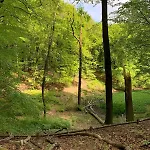 Veluwe