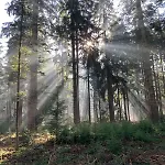 Veluwe