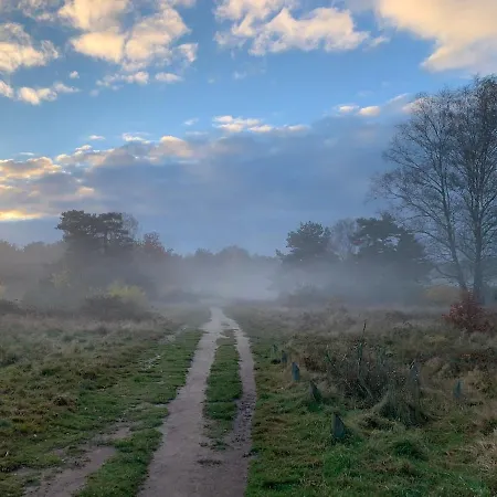 Veluwe 别墅