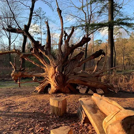 别墅 Veluwe *