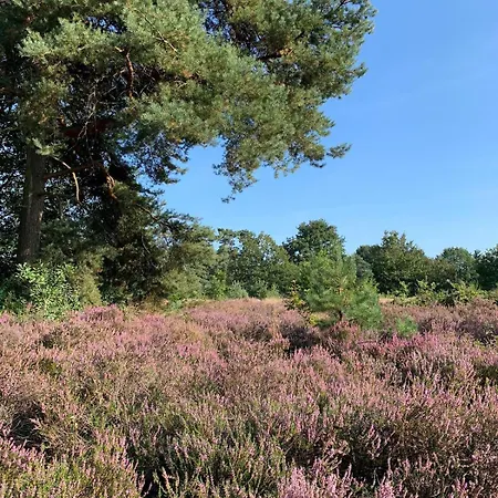 Veluwe Vila