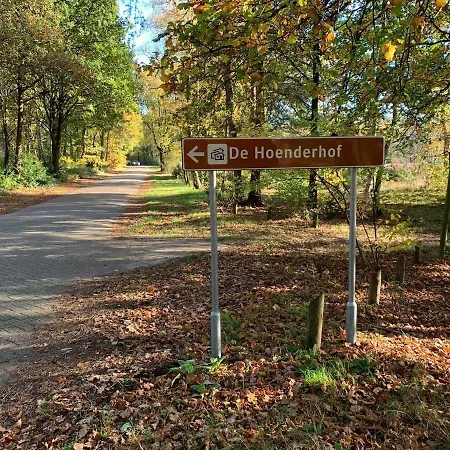 Veluwe 皮滕