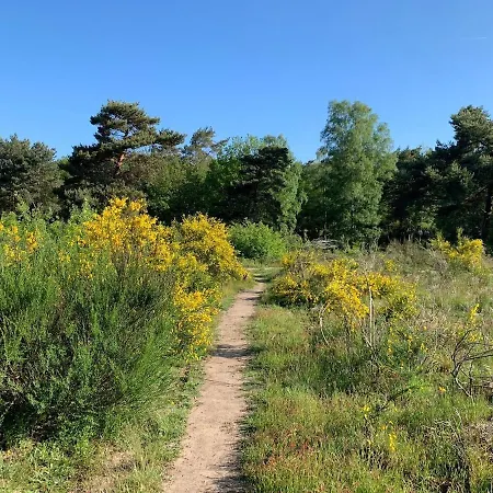 别墅 Veluwe 皮滕
