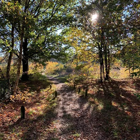 Vila Veluwe Putten