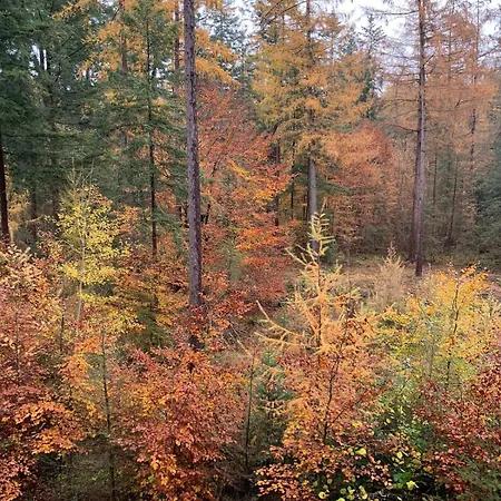 Vila Veluwe Putten